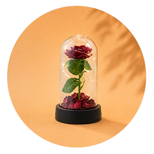 giftideas